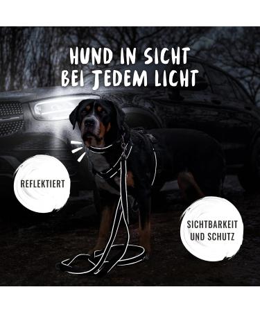 Rudelknig Paola Adjustable Reflective Dog Collar for Small Dogs - Black Nylon Size 1 (25-30cm) - Buy Online on SooperMarket.com