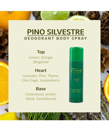 Pino Silvestre Deodorant Body Spray for Men - Long Lasting Sandalwood & Musk Fragrance - 6.7 Oz Cologne - International Shipping Available - Buy Online on SooperMarket.com