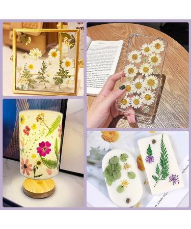 Dried Pressed Flowers 170+ Pcs - Bulk Natural Floral Fillers for Resin Crafts & Jewelry - 5 Color Set - Buy Online on SooperMarket.com