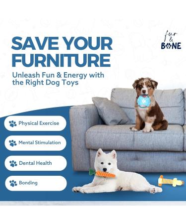Fur & Bone 10 Pack Dog Chew Toys | Puppy Toys Dog Toys for Boredom | Indestructible Dog Toys with Rope Toys Squeaky Toy | Dog Toy Dog Teething Toys for Small & Medium Dogs | Dog - Buy Online on SooperMarket.com