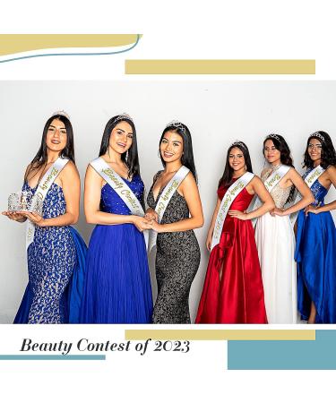12 Blank Sashes and Tiara Set - Prom Queen Satin Sashes & Rhinestone Tiara Crown - White DIY Sash for Pageants, Birthdays, Weddings - White/Rose Gold - Buy Online on SooperMarket.com