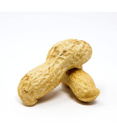 Premium USA Grown Raw Peanuts in Shell for Squirrels - 2.5lb | Unsalted & Jumbo | Boiled Virginia Peanuts | Pack of 1 - Buy Online on SooperMarket.com