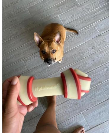 Nylabone Rawhide Alternative Knotted Bone - Beef Flavor for Large Dogs (up to 23 kg) | International Shipping Available - Buy Online on SooperMarket.com