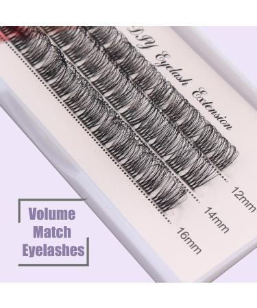 Veleasha DIY Eyelash Extension Individual D Curl Lashes 39 Clusters | Reusable Wispy False Eyelashes at Home | FD02 12-16mm - Buy Online on SooperMarket.com