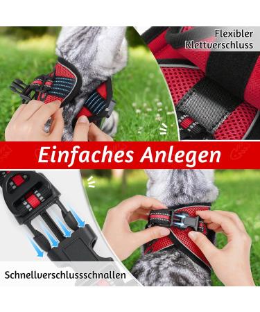 Rabbitgoo Adjustable Cat Harness & Leash Set - Reflective Soft Strap for Cats & Kittens - Red (1 Pack) - Ideal for International Shipping - Buy Online on SooperMarket.com