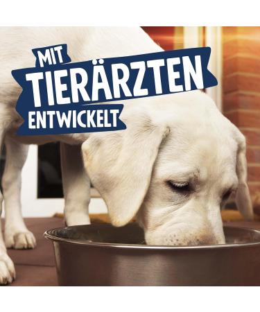 Pets Deli Wet Dog Food - Chicken Carrot Quinoa & Zucchini - Gluten & Sugar-Free (6 x 400g Pack) - Buy Online on SooperMarket.com