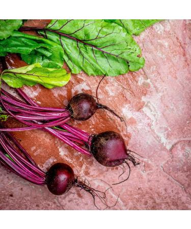 Beetroot Powder 100g - Raw & Cooked Use | Natural Colorant | Endig Hearty & Sweet | Achterhof - Buy Online on SooperMarket.com