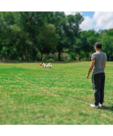 Ranypet Reflecting Long Line for Cats - 4.5m/15FT Durable & Safe Leash for Kittens Puppies Rabbits | International Shipping Available - Buy Online on SooperMarket.com