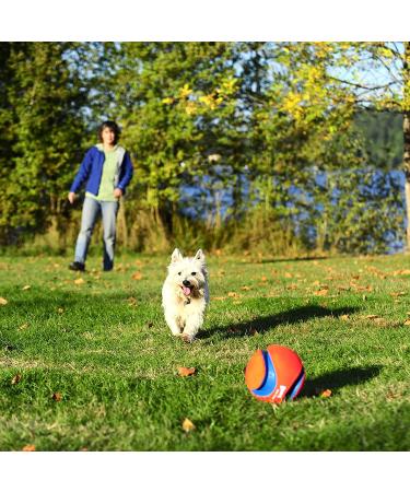 Chuckit! Large Regular Glow Ball - Bright and Durable Fetch Toy - Buy Online on SooperMarket.com