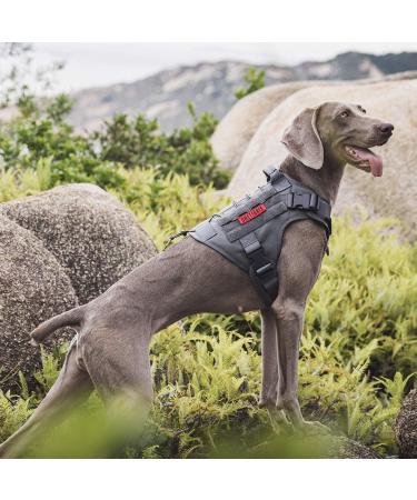 OneTigris Tactical Dog Vest | MOLLE Service Dog Harness | 1000D Nylon | Large | Grey - Ideal for Training & Outdoor Adventures - Buy Online on SooperMarket.com