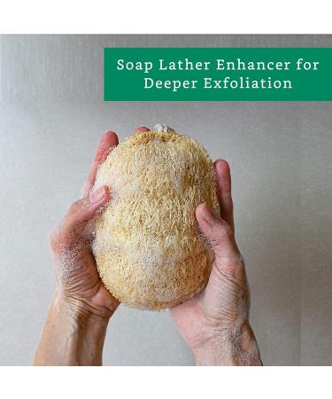 4 Pack 100% Natural Loofah Exfoliating Sponges - Organic Bath Scrubber Set - Buy Online on SooperMarket.com
