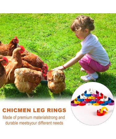 Taicols 100 16mm Chicken Recognition Leg Straps 5 Colors Chicken Foot Labels Ducks Pigeons Guinea Pigs Geese Poultry (16mm) - Buy Online on SooperMarket.com
