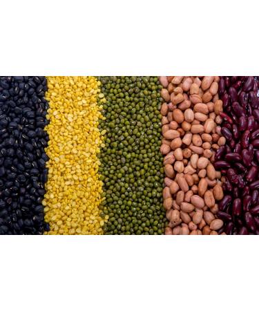 Mynatura Organic Chickpeas - 2x1000g | Nutritious Vegan Humus Falafel & Cooking Ingredient | Raw & Plant-Based - Buy Online on SooperMarket.com