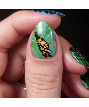 Shop Maniology Forest Wonders Nail Stamping Plate Set - Unique Mushroom & Frog Nail Art for Stunning Manicures - Buy Online on SooperMarket.com