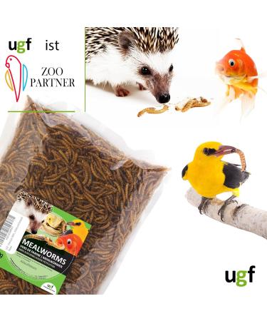 UGF Premium Dried Mealworms 250g | Insect Snacks for Birds Hamsters Hedgehogs Rodents Lizards & Turtles - No Preservatives or Dyes - Buy Online on SooperMarket.com