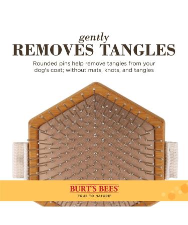 Burt's Bees for Pets Palm Detangling Brush - All Natural Bamboo Dog Brush with Adjustable Strap | Best Dog Grooming Tool - Buy Online on SooperMarket.com