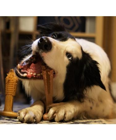 Bamboodles T Bone Dog Chew - Medium Chicken Flavor for Aggressive Chewers - Buy Online on SooperMarket.com