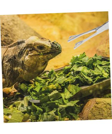ORFOFE Reptile Feeding Clip Aquarium Pipette Feeding Tools Snake Tong Silver Stainless Steel - Buy Online on SooperMarket.com
