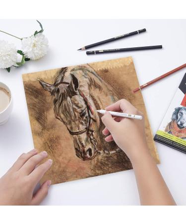 MARKART Professional Charcoal Drawing Set - 10 Piece Color Pencils for Sketching, Shading, and Blending - Ideal for Beginners and Artists - Buy Online on SooperMarket.com