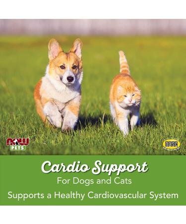 Now Foods Pets Cardiovascular Support for Dogs & Cats - 4.5 oz | Enhance Pet Health - Buy Online on SooperMarket.com