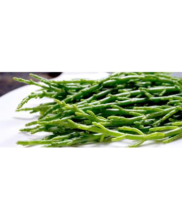 Samphire/Salicornia (100g x2) Ideal for salads steaks fish dishes and much more. it's delicious and unique.