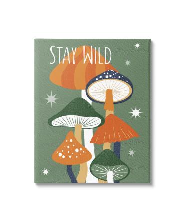 Stupell Industries Stay Wild Mushrooms Pattern Canvas Wall Art by Martina Pavlova 24 x 30