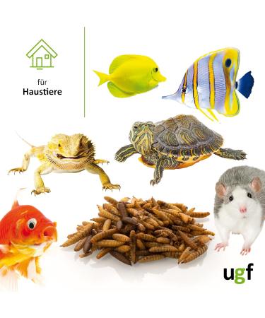 UGF Soldier Fly Larvae (500g) - Superior to Dried Mealworms - 85x Calcium - Ideal Treats for Birds Turtles Rodents & More - Buy Online on SooperMarket.com