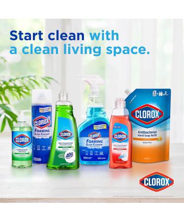 Clorox Liquid Hand Soap - 16 Fl Oz Pump Germ Eliminator Soft on Hands Tough on Dirt Strawberry Scented Hand Wash & Foam Soap - Buy Online on SooperMarket.com
