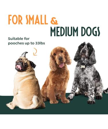 Strong Retractable Dog Lead 3m Long Extendable Dog Lead No-Tangle Dog Leash Dog Leads for Small Dogs/Medium Dogs Soft-Grip Anti-Slip Brake Anti-Twist Extending Dog Lead - Buy Online on SooperMarket.com