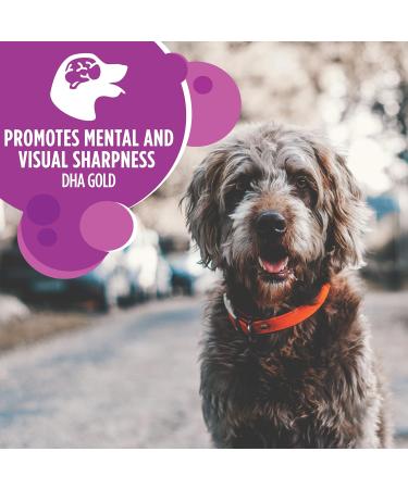 IAMS Proactive Health Dog Food Dry | Minichunks Adult Lamb & Rice 6.5kg + Mature (7+) Original 6.8kg 6.8 kg (Pack of 1) Dog Food + Dog Food 6.8kg - Buy Online on SooperMarket.com