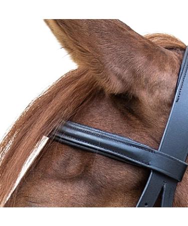 WALDHAUSEN Star Bitless Bridle for Ponies - Premium Quality Black Equestrian Gear | International Shipping - Buy Online on SooperMarket.com