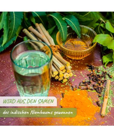 Exquisite Neem Oil with Rimulgan Emulsifier - 1L for Healthy Plants | Buy Premium Nature Products Online - Buy Online on SooperMarket.com