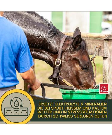Emma Electrolyte Horse Liquid & Paste | Vitamin B12 Minerals & Sodium for Optimal Hydration | 1L & 30ml - Prevent Diarrhea & Support Performance - Buy Online on SooperMarket.com
