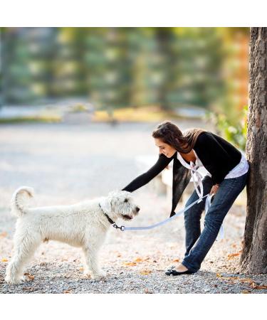 Tag Trag Dog Leash - 20m Light Blue Waterproof Training Line with Handle & D-Ring for Small & Medium Dogs - Buy Online on SooperMarket.com