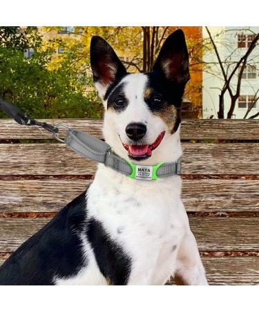 Tagme 2 Pack Personalized Dog Tags - Engraved ID for Small & Medium Dog Breeds | Custom Green Pet Tags - Buy Online on SooperMarket.com