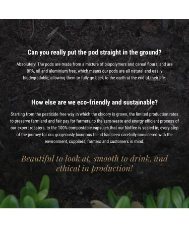 Noffee Premium Chicory Coffee Alternative - Caffeine-Free & Gut-Friendly - Vegan & Gluten-Free - Sustainably Sourced Medium to Dark Blend - 8 Compostable Pods - Buy Online on SooperMarket.com