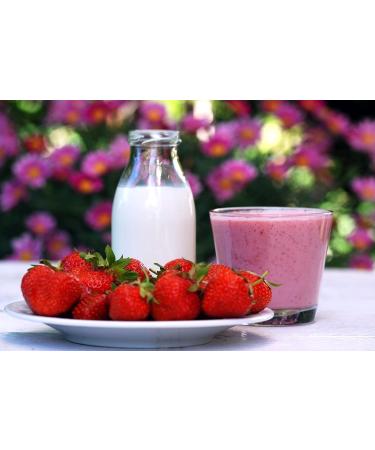 Lean Milk Powder for Homemade Ice Cream | Versatile for Cooking & Baking | 1000g - Buy Online on SooperMarket.com