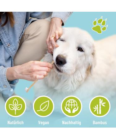 Buy Bamboo Toothbrush for Dogs & Cats - 2 Pack | 100% BPA-Free Dental Care for Clean Teeth & Environment - Buy Online on SooperMarket.com