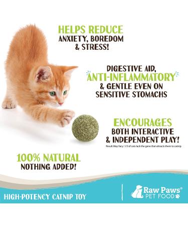 Raw Paws Compressed Catnip Ball Toy 6 Pack for Indoor Cats - All Natural Catnip Interactive Kicker Toy - Catnip Cat Toys for Kitties - Buy Online on SooperMarket.com