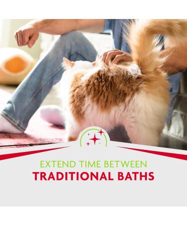 Furminator Waterless Foaming Shampoo & Deshedding Comb for Cats | Reduce Hair Loss & Odor - International Shipping - Buy Online on SooperMarket.com