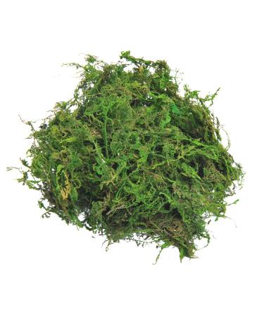 TOPCOMWW Fake Moss for Centerpieces Decor, Aftificial Green Moss for Plant Crafts Flower, 3.5oz