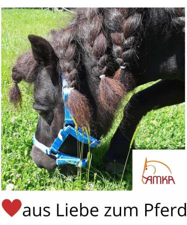 AMKA Pony Bit - Stainless Steel 10mm Thickness 40mm Rings | Sizes 8.5-10.5 cm - International Shipping - Buy Online on SooperMarket.com