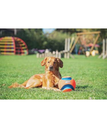 Chuckit! Large Regular Glow Ball - Bright and Durable Fetch Toy - Buy Online on SooperMarket.com