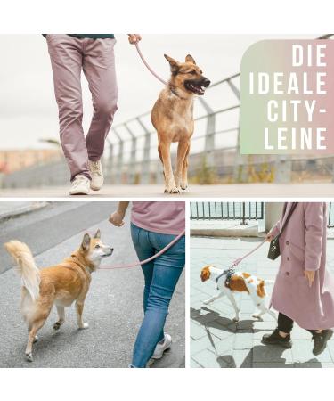 Shop 1.2m No Tangle Dog Training Leash for Medium to Large Dogs Robust Braided Design & Hand Loop Mauve Color - Buy Online on SooperMarket.com