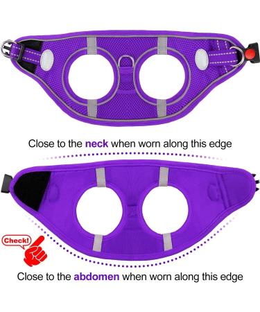 Joyal Dog Harness - Reflective Soft Padded Air-Mesh for Small Dogs & Cats XXS (31-34cm) - Purple - Buy Online on SooperMarket.com