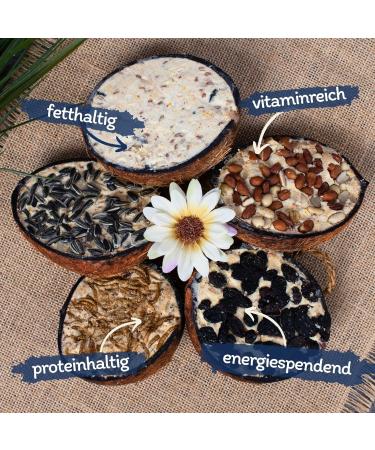 Buy Lyra PET 2x10 Coconut Filled Bird Feed | Fat-Rich Wild Bird Food with Toppings | Year-Round Nutrition | Vitamins & Protein for Wild Birds - Buy Online on SooperMarket.com