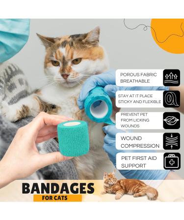 Vet Wrap Self Adhesive Bandage 5cm x 4.5m - Cohesive Tape for Pets & Sports (12 Pack) - Buy Online on SooperMarket.com
