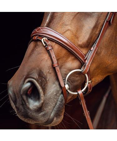 HORZE Sion Padded Leather Horse Snaffle Bridle with Flash Noseband and Rubberized Reins - Brown Horse - Buy Online on SooperMarket.com