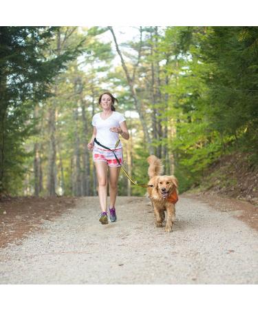 Kurgo Quantum 6-in-1 Dog Leash | Multi-Use Hands-Free Dog Lead for Walking & Running | Adjustable | Black/Orange - Buy Online on SooperMarket.com