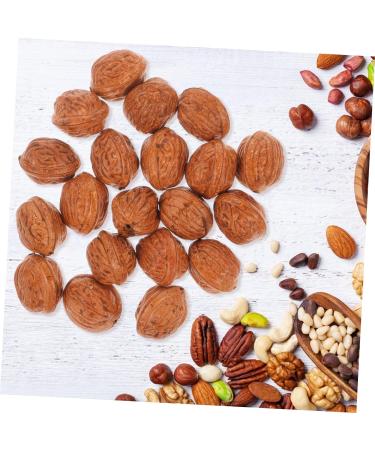 Alipis 20pcs Faux Fruit Decor Walnut Ornament Photo Props Walnut Artificial Food Fake Fruit Walnut Background Pretend Play Food Figure Lifelike Nut Ornament Wedding Birthday Present - Buy Online on SooperMarket.com